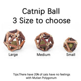 Cat Interactive Wooden Teeth Cleaning Catnip Ball Toy